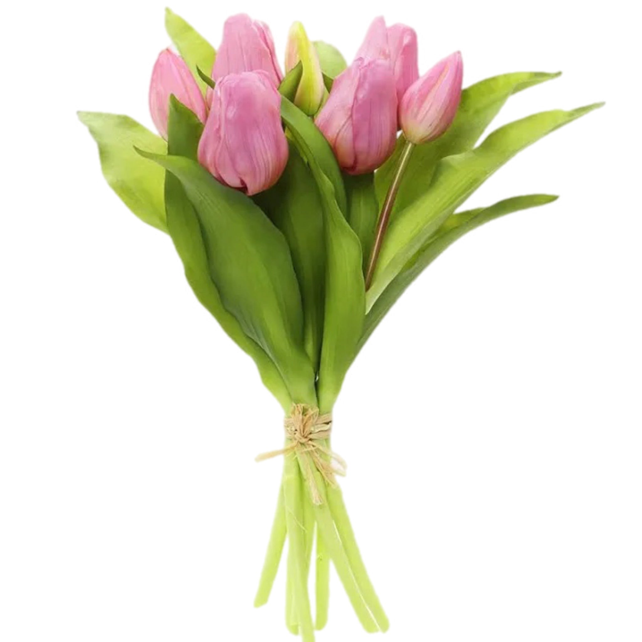 12" Lavender Tulip Bundle