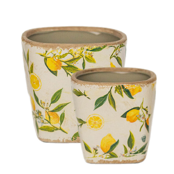 Assorted Lemon Planter, INDIVIDUALLY SOLD