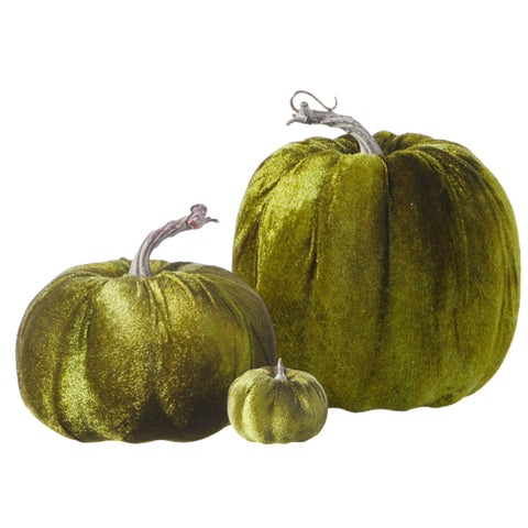 Assorted Green Velvet Pumpkin, INDIVIDUALLY SOLD