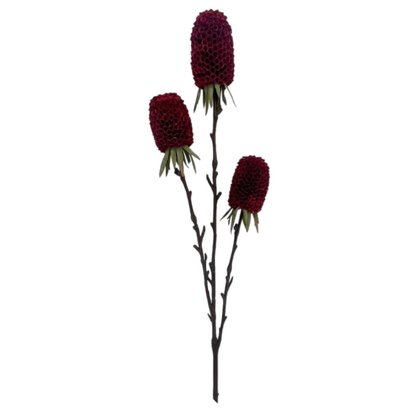 Assorted 29" Banksia Spray, INDIVIDUALLY SOLD