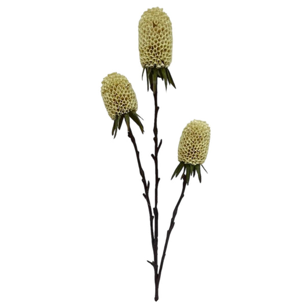 Assorted 29" Banksia Spray, INDIVIDUALLY SOLD