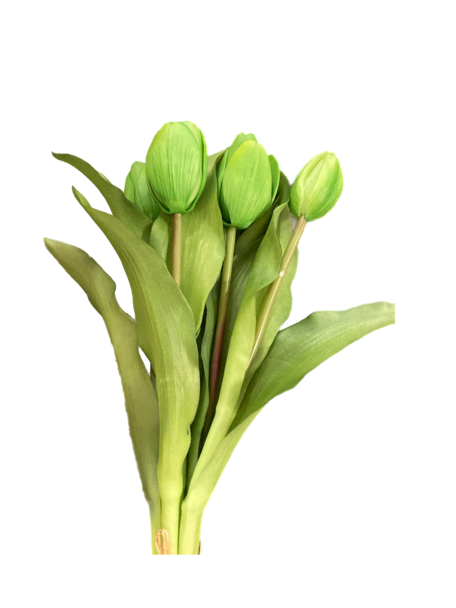 12" Green Tulip Bundle