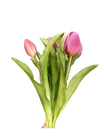 12" Lavender Tulip Bundle