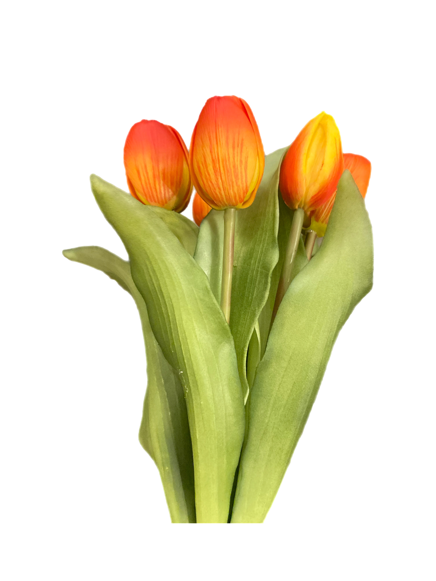 12" Orange Tulip Bundle