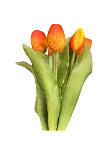 12" Orange Tulip Bundle