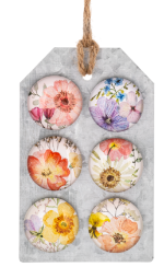 Flower Magnets, Set of 6