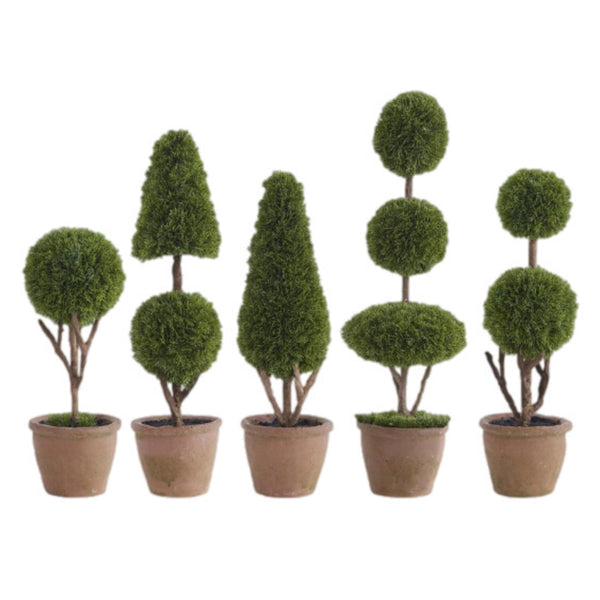 Assorted Cypress Topiary Tree, INDIVIDUALLY SOLD