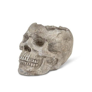 Skull Planter- SMALL