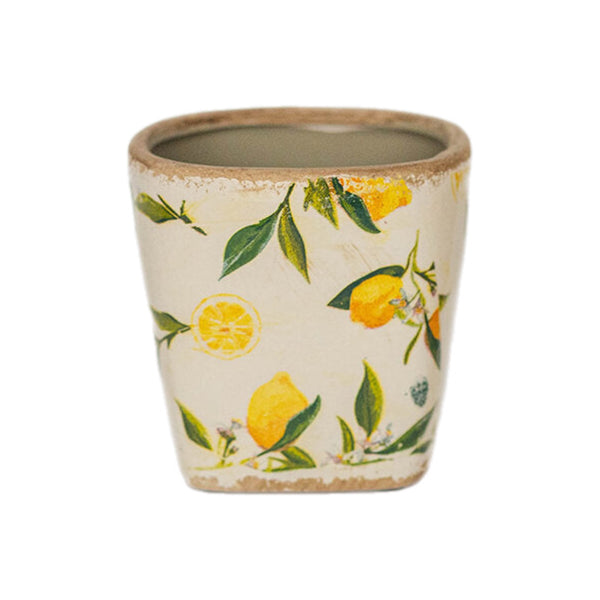 Assorted Lemon Planter, INDIVIDUALLY SOLD
