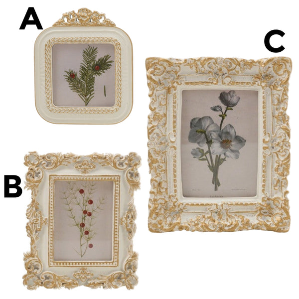 Assorted Floral Print In Cream & Gold Frame Wall Print, INDIVIDUALLY SOLD
