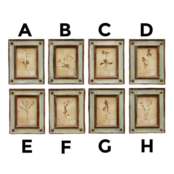 Assorted Grey Framed Botanical Wall Sign, INDIVIDUALLY SOLD