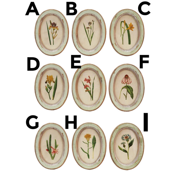 Assorted Flower Wall Print, INDIVIDUALLY SOLD