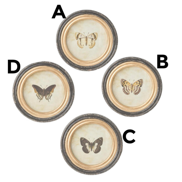Assorted Butterfly Wall Print, INDIVIDUALLY SOLD