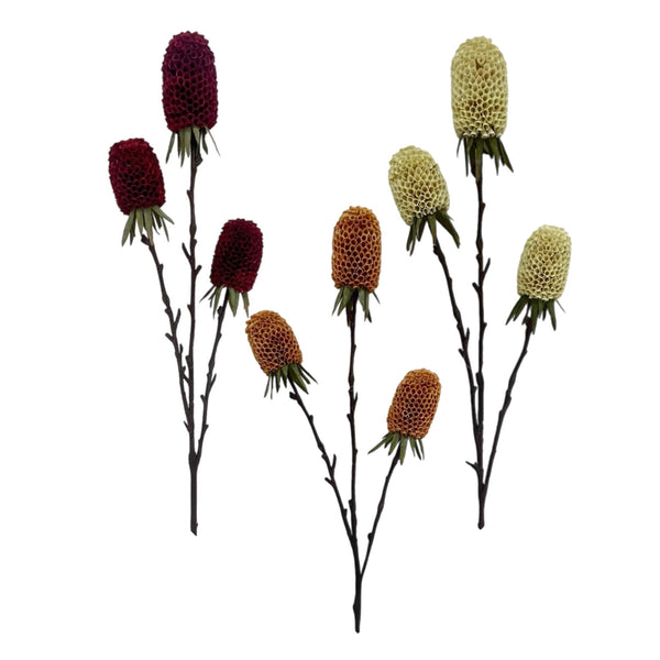 Assorted 29" Banksia Spray, INDIVIDUALLY SOLD