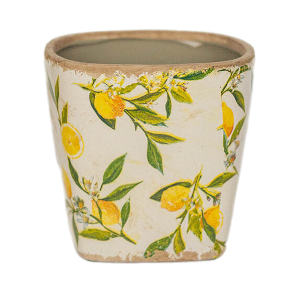 Assorted Lemon Planter, INDIVIDUALLY SOLD