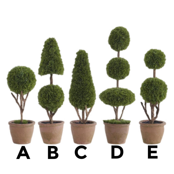Assorted Cypress Topiary Tree, INDIVIDUALLY SOLD