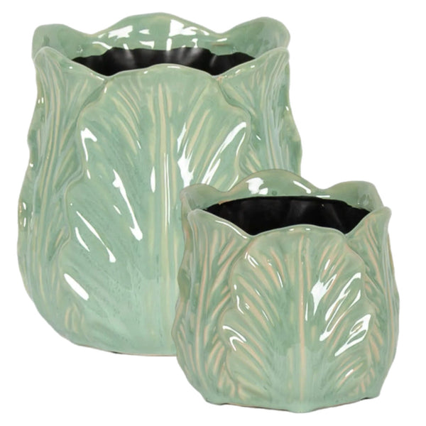 Assorted Light Green Cabbage Planter, INDIVIDUALLY SOLD