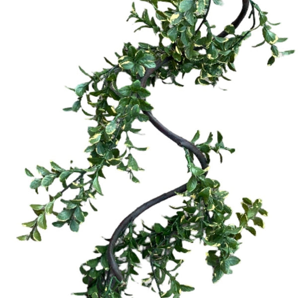 5' Boxwood Garland