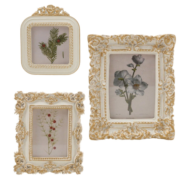 Assorted Floral Print In Cream & Gold Frame Wall Print, INDIVIDUALLY SOLD