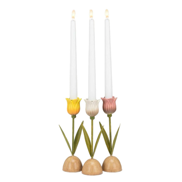 Assorted Tulip Taper Candle Holder, INDIVIDUALLY SOLD