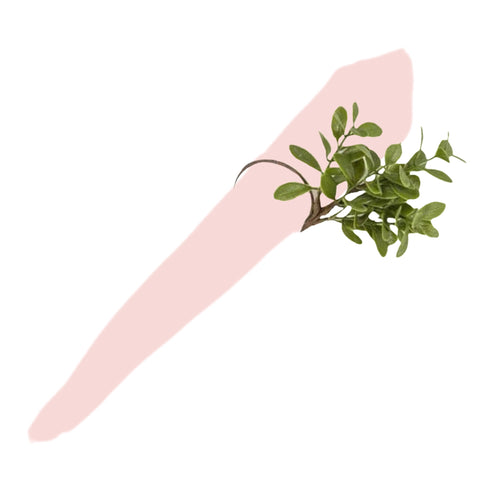 Faux Boxwood Napkin Ring