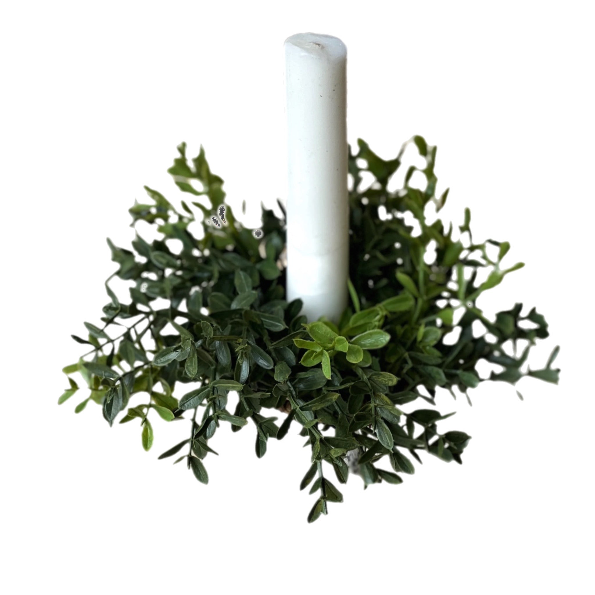 Boxwood Taper Candle Ring