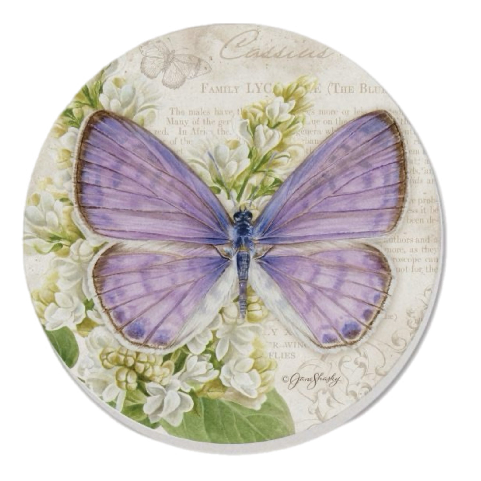 Purple Butterfly Coasters, Set Of 4