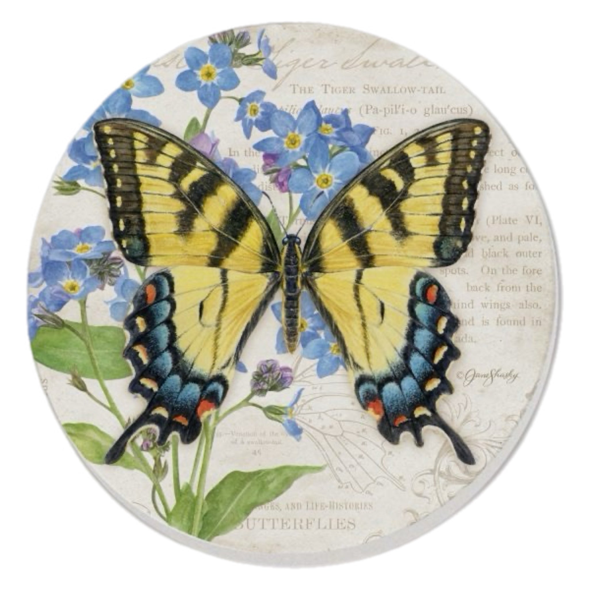 Yellow And Blue Butterfly Coasters, Set Of 4