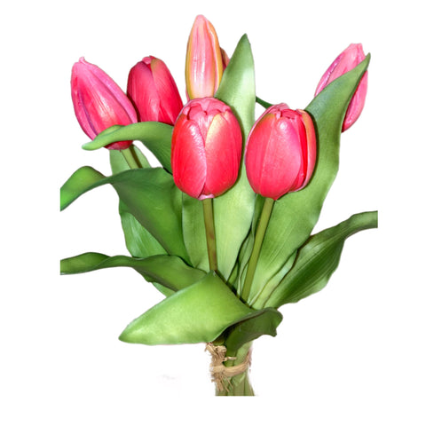 12" Dark Pink Tulip Bundle