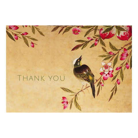 Peach Blossom Thank You Cards, Box Of 14