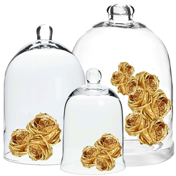 Assorted Glass Cloche, INDIVIDUALLY SOLD