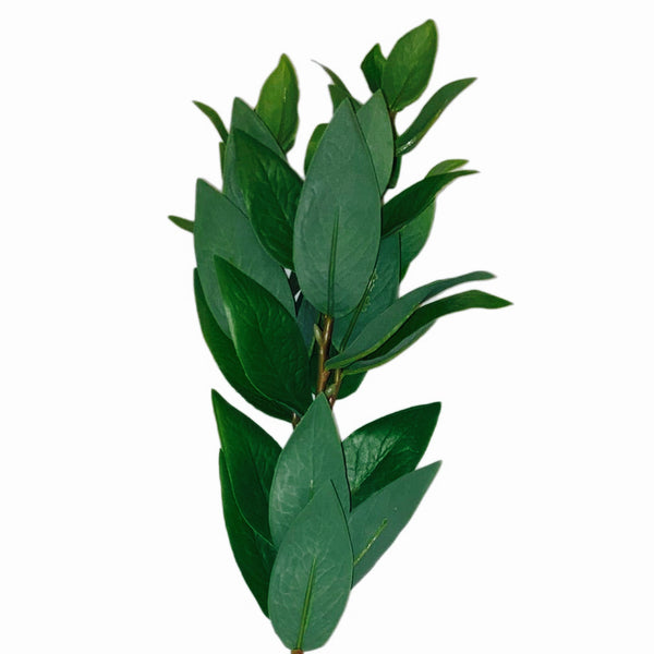 20" Salal Stem