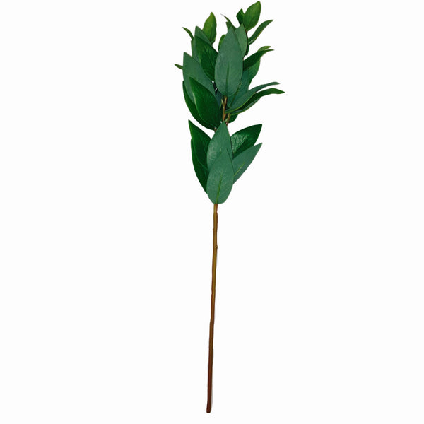20" Salal Stem