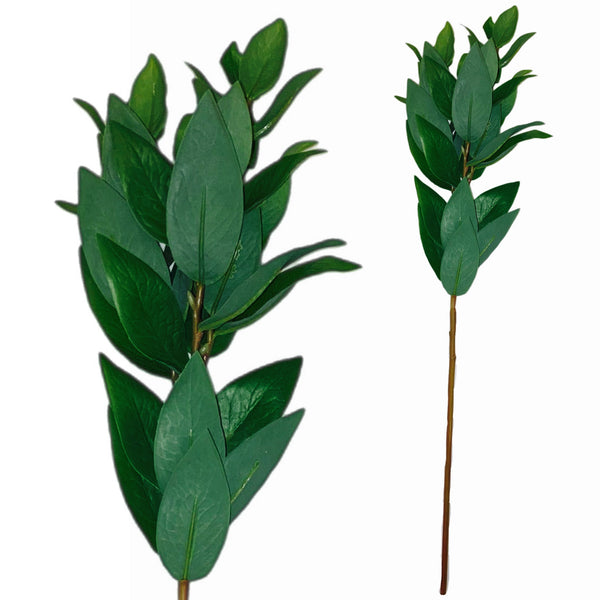 20" Salal Stem