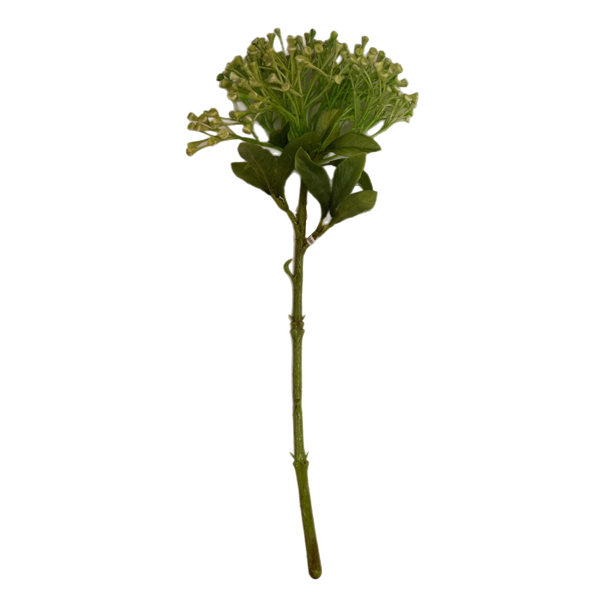 13" Green Berry Stem