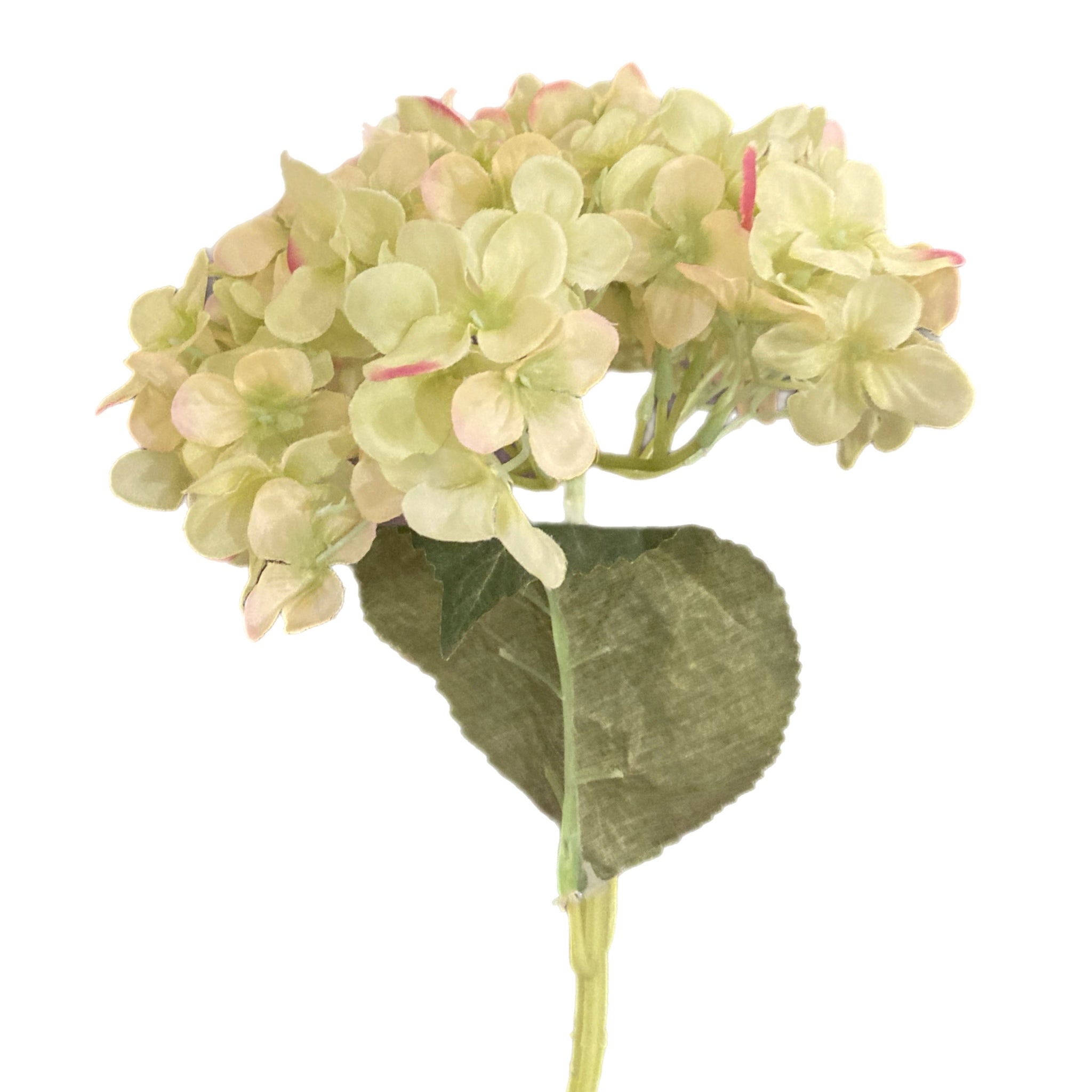 23" Green Hydrangea Stem