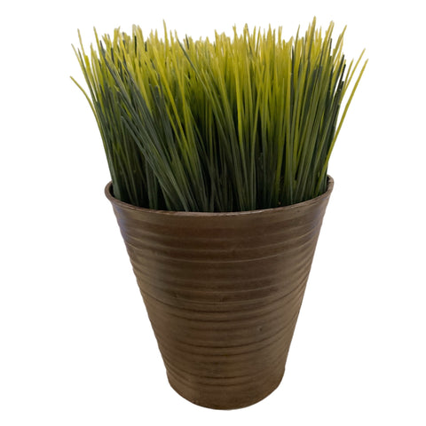9" Potted Wheatgrass