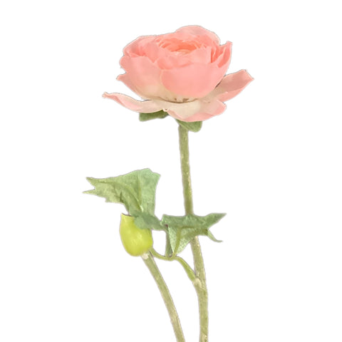 15" Pink Ranunculus Stem