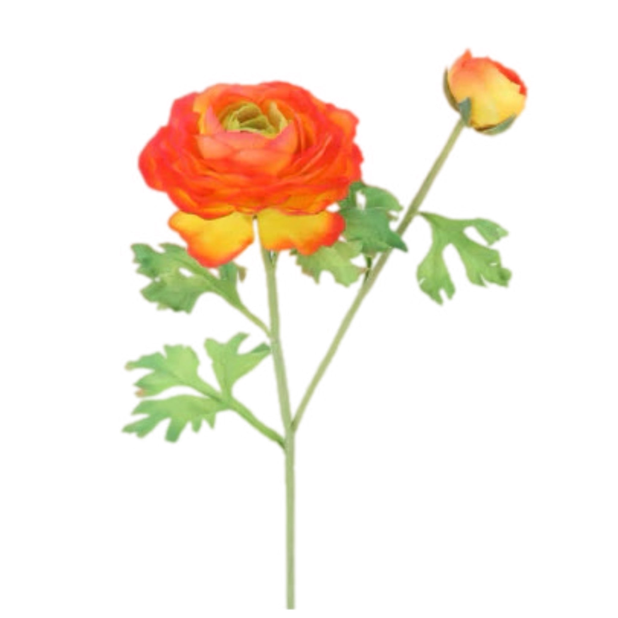 20" Orange Ranunculus Spray