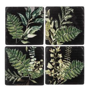 Fern Coasters, Set Of 4