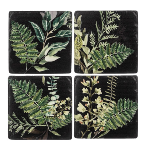 Fern Coasters, Set Of 4