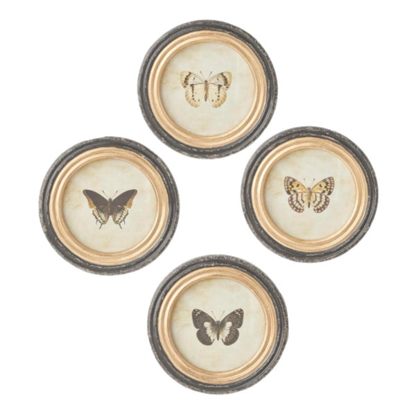 Assorted Butterfly Wall Print, INDIVIDUALLY SOLD