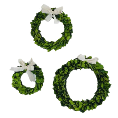 Assorted 9" Boxwood Wreath With Cream Ribbon, INDIVIDUALLY SOLD