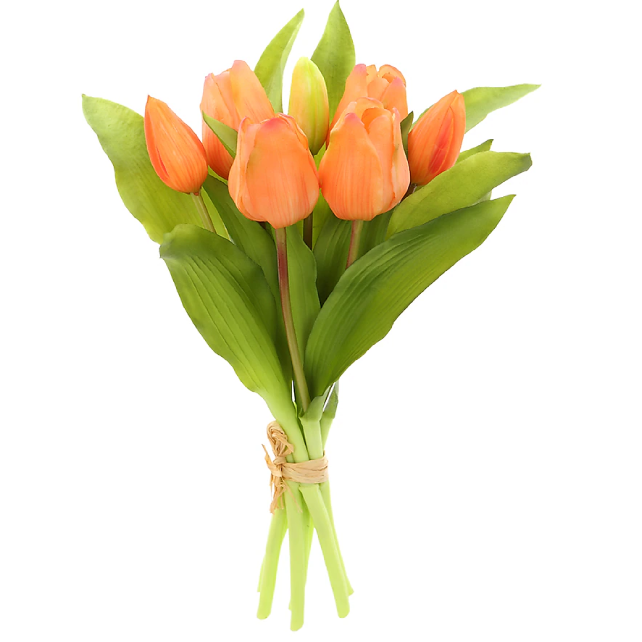 12" Orange Tulip Bundle