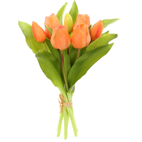 12" Orange Tulip Bundle
