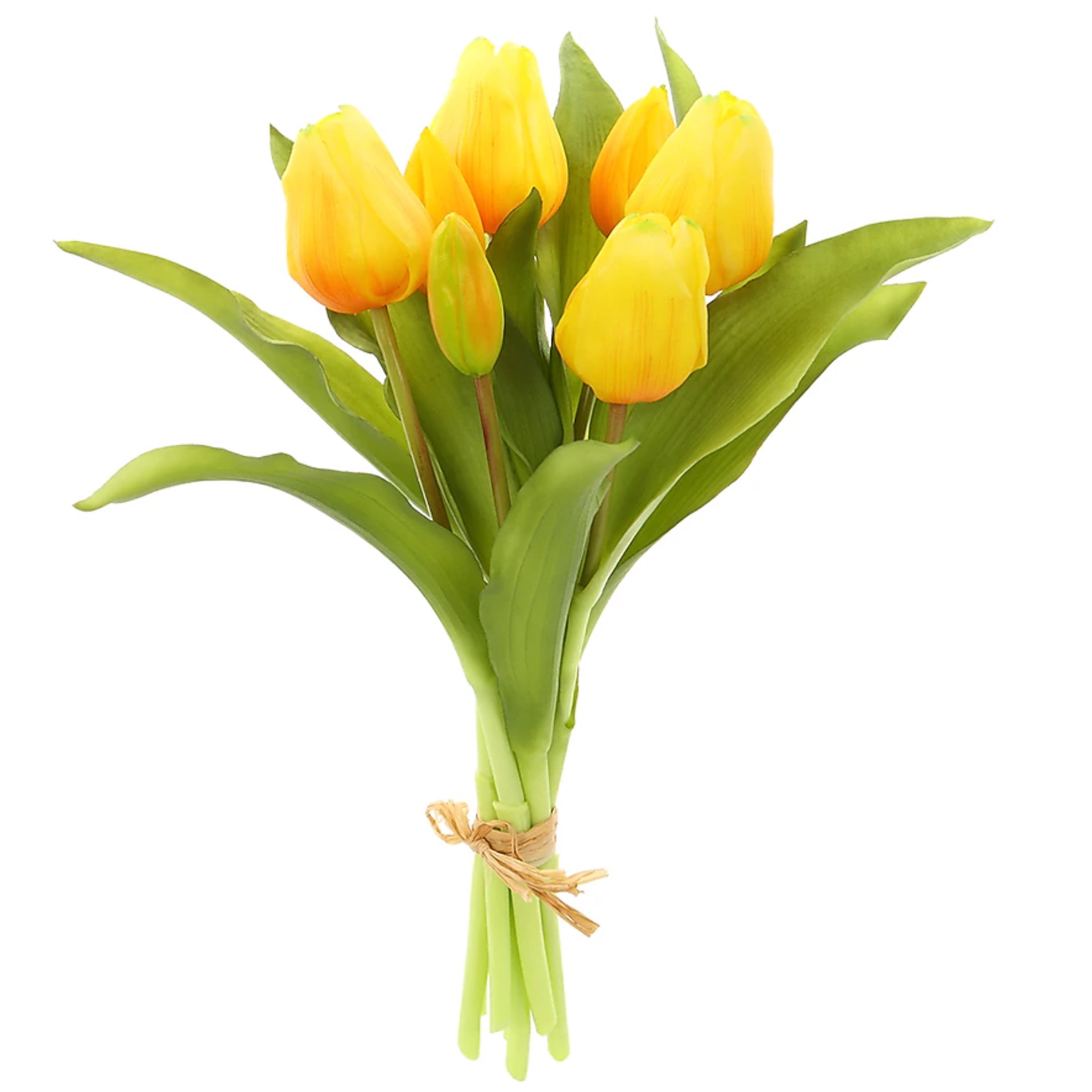 12" Yellow Tulip Bundle