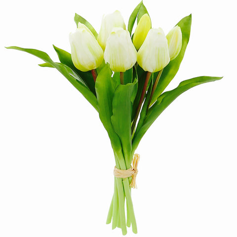 12" White Tulip Bundle