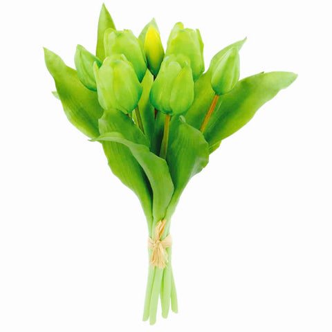 12" Green Tulip Bundle