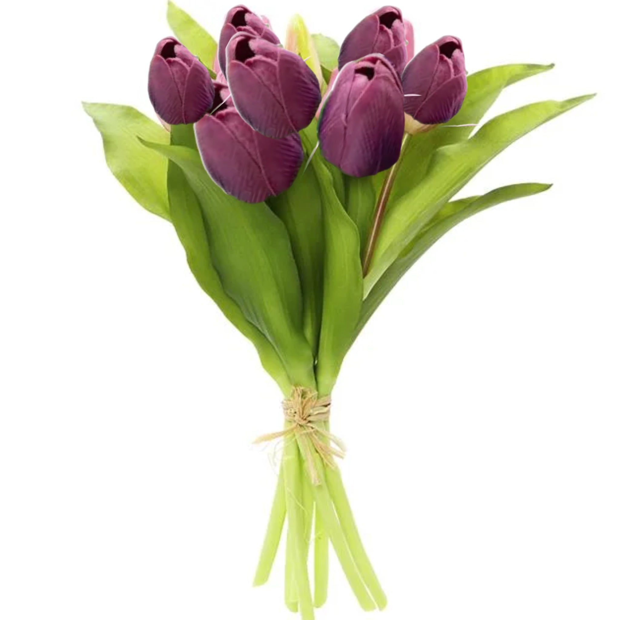 12" Purple Tulip Bundle