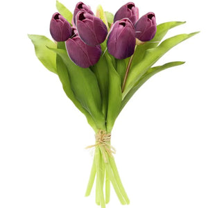 12" Purple Tulip Bundle